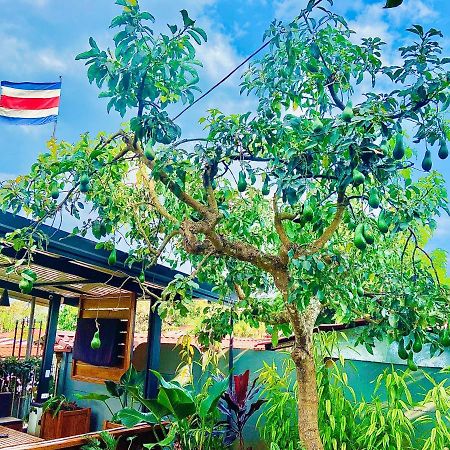 Casa Los Madriz Suite #2 San Isidro De El General Ngoại thất bức ảnh